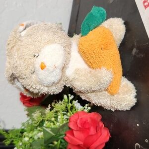 2005 TY Veggie The Bunny Rabbit w Carrot Beanie Baby w Tag